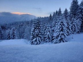 Nature House Predeal Predeal
